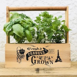Herb Sampler Carry Tote Plant Gift