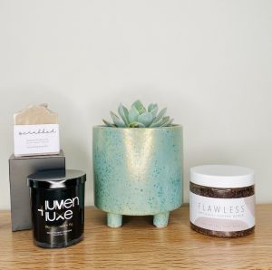 Succulent Plant Gift Pack