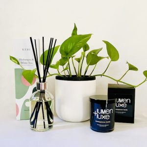 Plant Gift Pack Brisbane